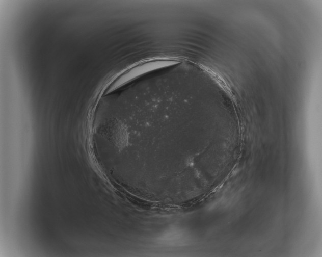 X0000102520337200808151538