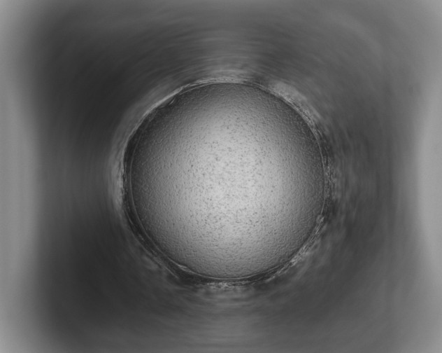 X0000102520338200808151538