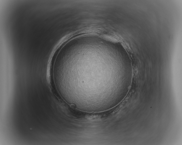 X0000102520340200808151538