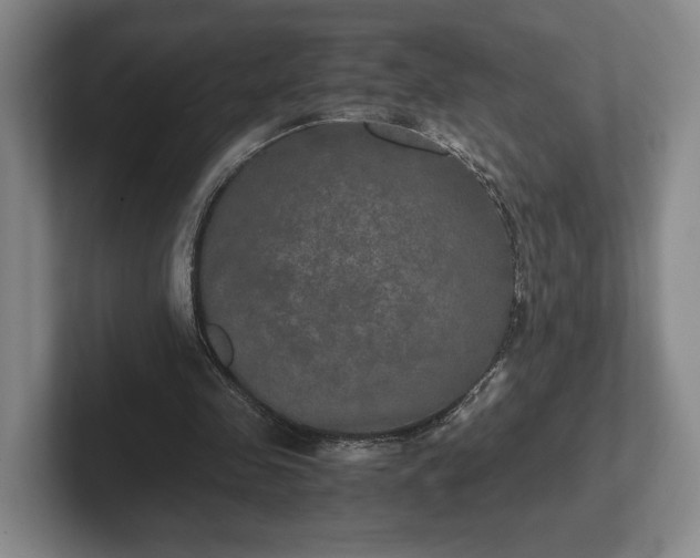 X0000102520341200808151538