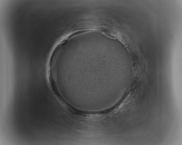 X0000102520342200808151538