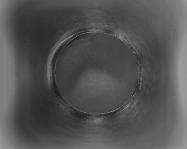 X0000102520343200808151538