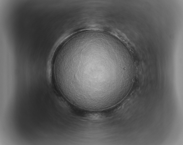 X0000102520344200808151538