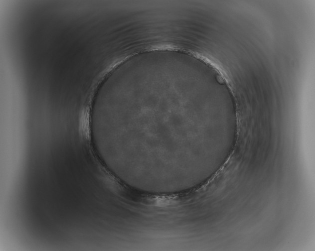 X0000102520345200808151538