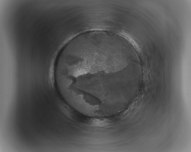 X0000102520346200808151538