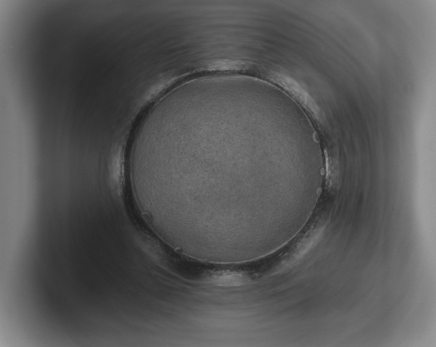 X0000102520348200808151538