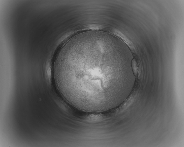 X0000102520350200808151538