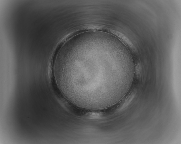 X0000102520352200808151538