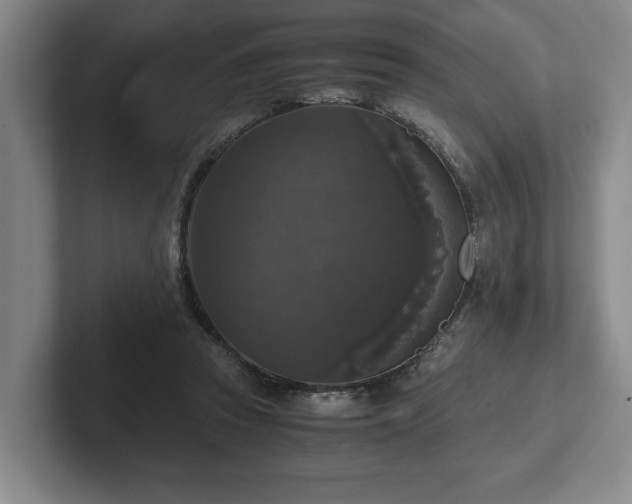 X0000102520353200808151538