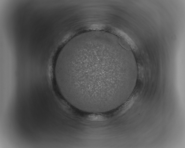 X0000102520354200808151538