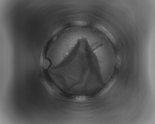 X0000102520355200808151538