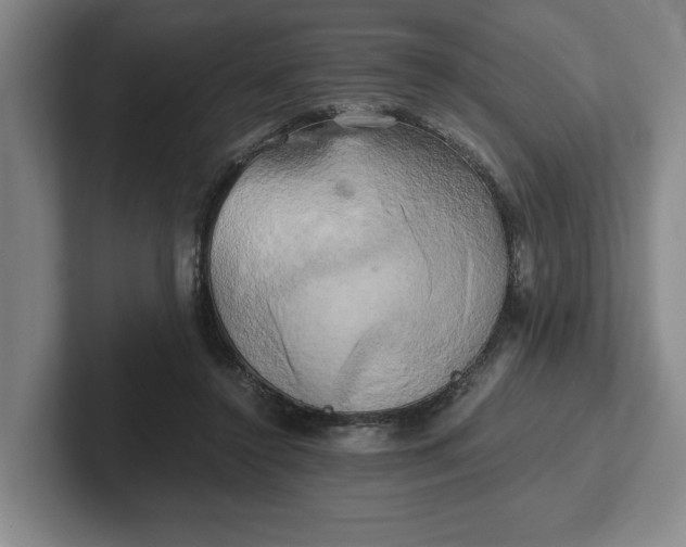 X0000102520356200808151538