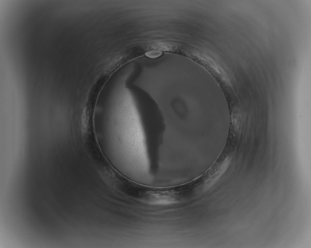 X0000102520359200808151538