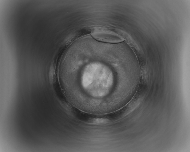 X0000102520360200808151538