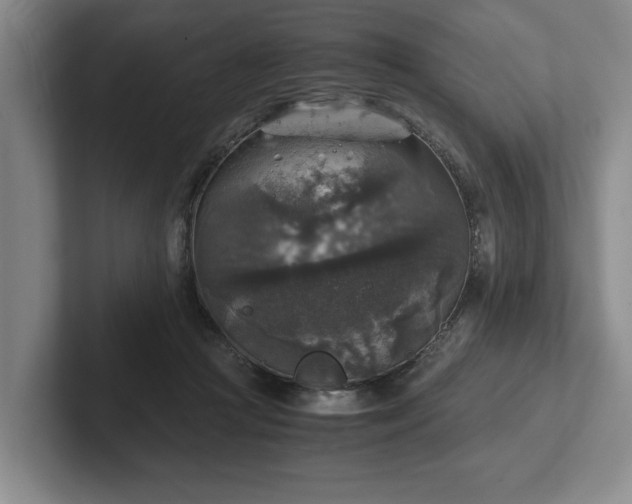 X0000102520361200808151538