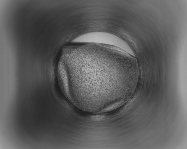 X0000102520362200808151538