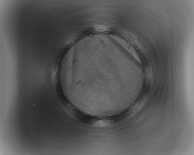 X0000102520364200808151538