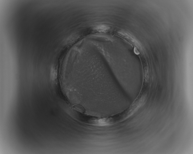 X0000102520365200808151538