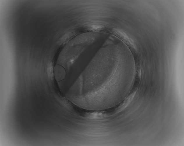 X0000102520366200808151538