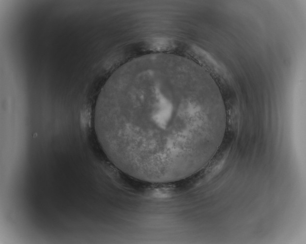 X0000102520368200808151538