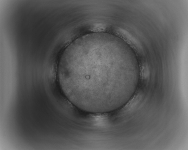 X0000102520370200808151538