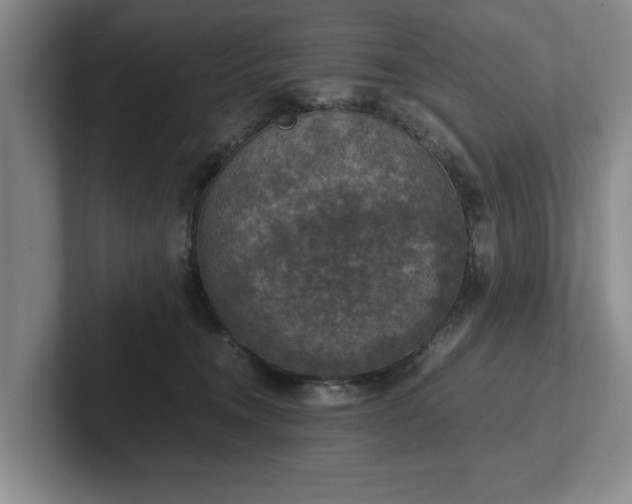 X0000102520372200808151538