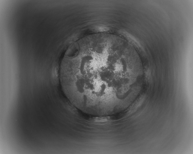 X0000102520373200808151538