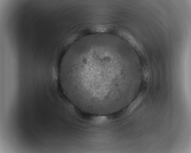 X0000102520374200808151538