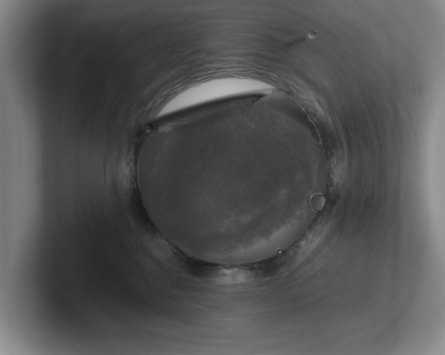 X0000102520376200808151538