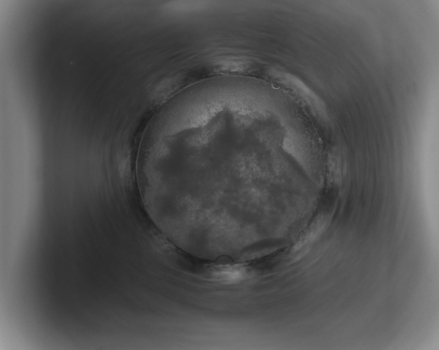 X0000102520377200808151538