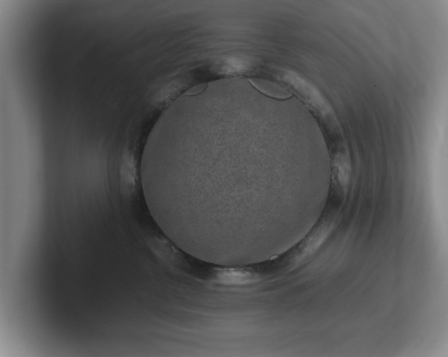 X0000102520380200808151538