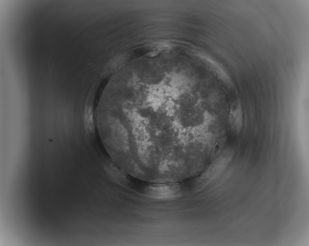 X0000102520381200808151538