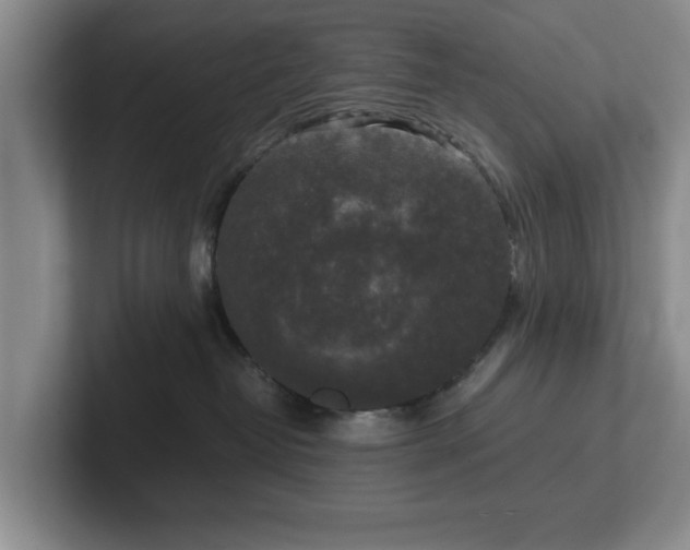 X0000102520382200808151538