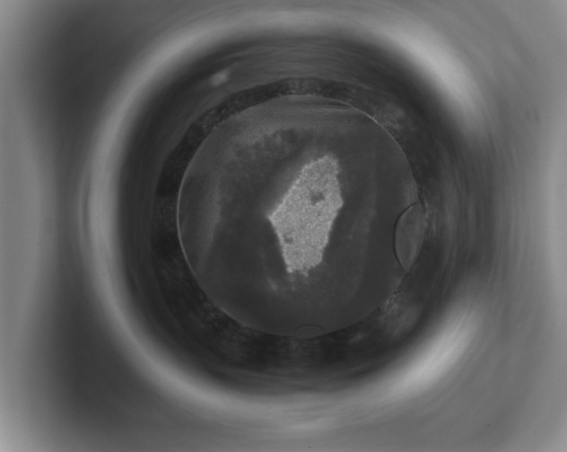 X0000102520383200808151538