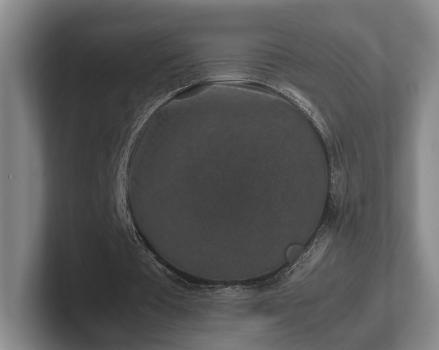 X0000102520385200808151538