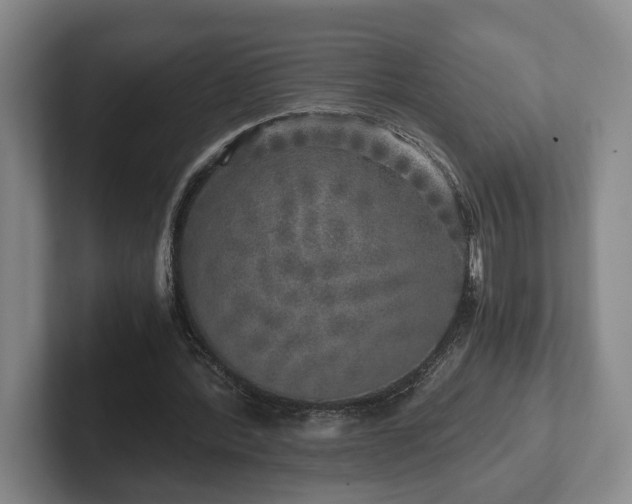 X0000102520388200808151538