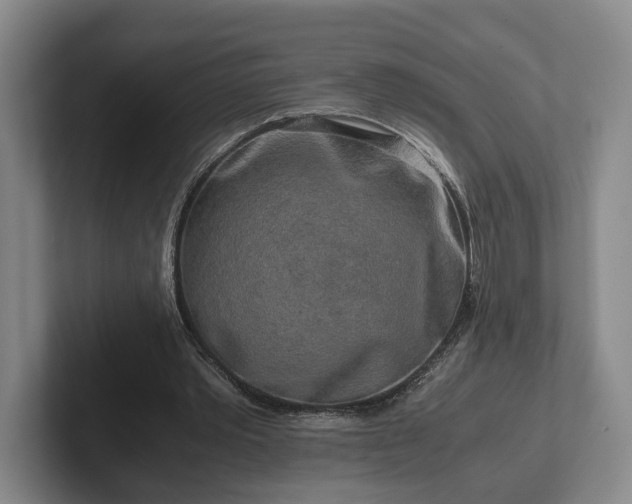 X0000102520389200808151538