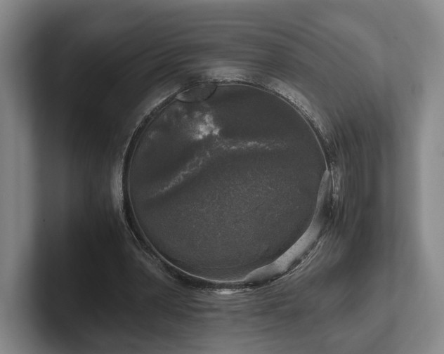 X0000102520390200808151538