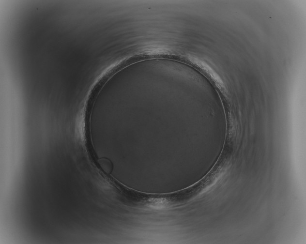 X0000102520391200808151538