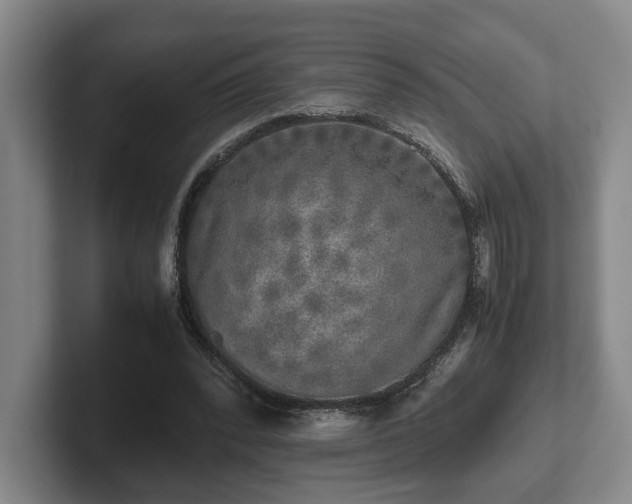 X0000102520392200808151538