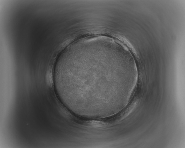 X0000102520393200808151538