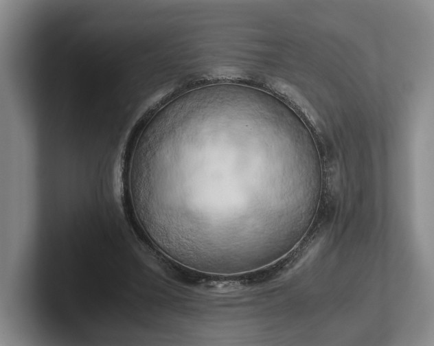 X0000102520395200808151538