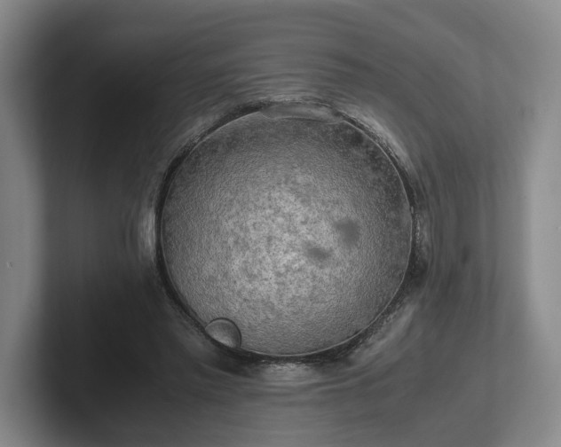 X0000102520397200808151538