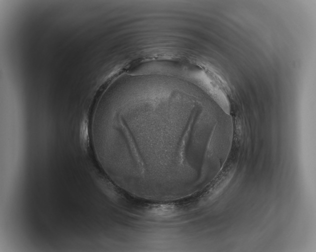 X0000102520398200808151538