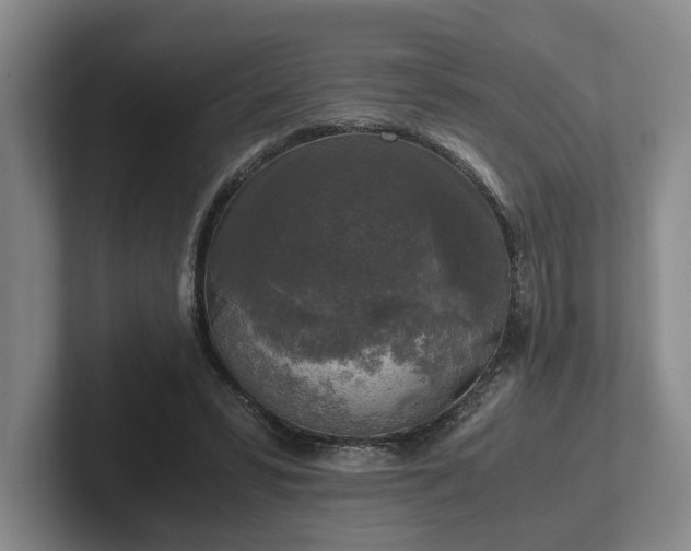 X0000102520399200808151538