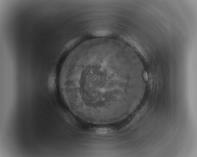 X0000102520400200808151537