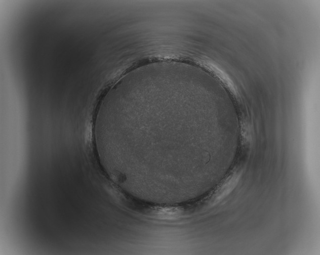 X0000102520401200808151537