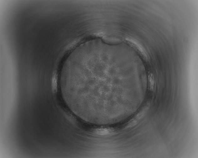 X0000102520404200808151537