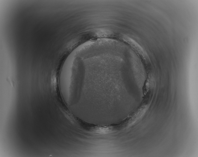 X0000102520405200808151537