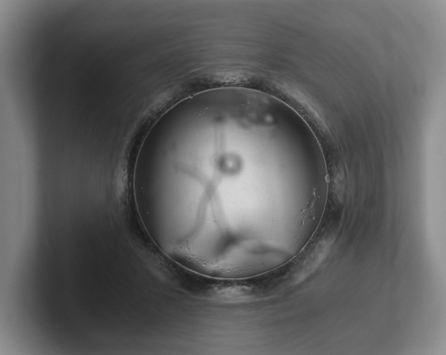 X0000102520407200808151537